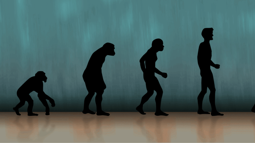 Evolution des menschlichen Körpers - VOm Instinkt zum Bewusstsein I pain-free.me Blog Körper