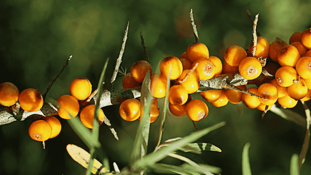 design ohne titel (9)