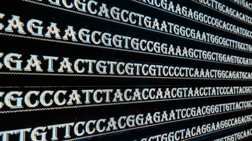 design ohne titel (7)